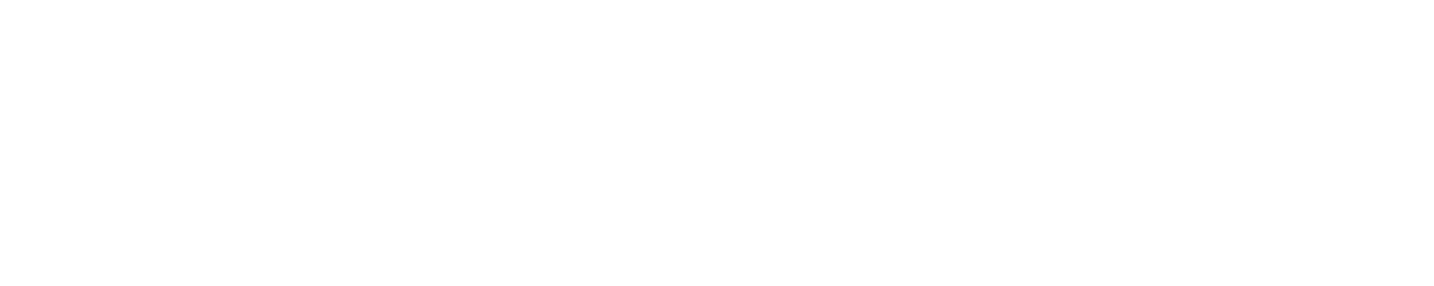 DNVN Mobland Logo wht