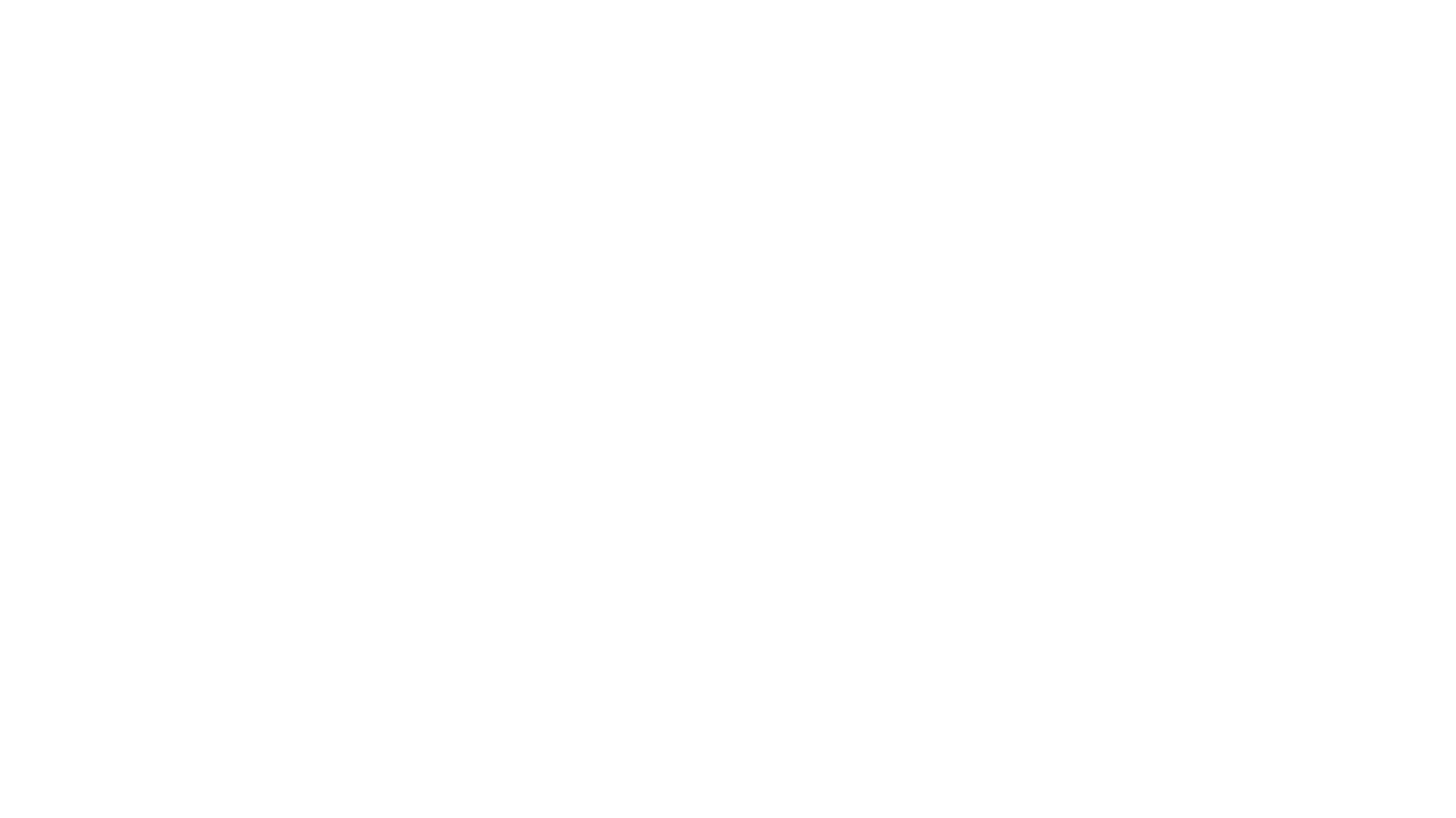 Lioness TT